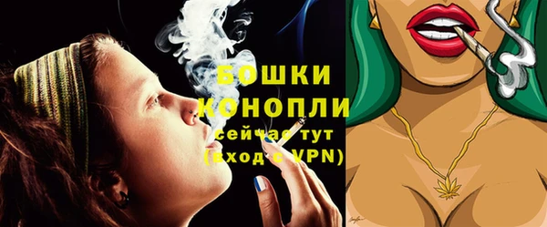гидра Заволжск