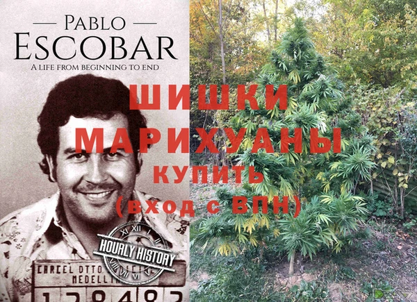 гидра Заволжск