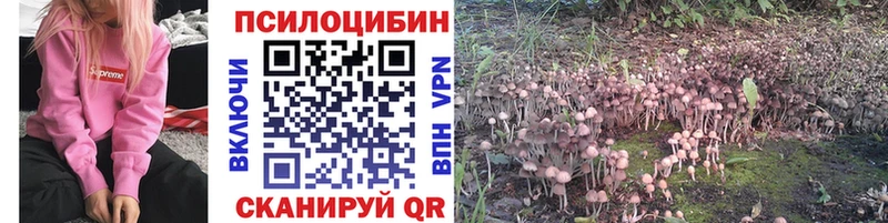 Галлюциногенные грибы прущие грибы  Сальск 