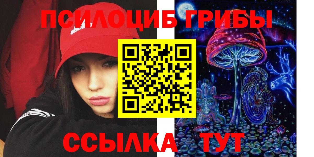 Галлюциногенные грибы Psilocybine cubensis Сальск